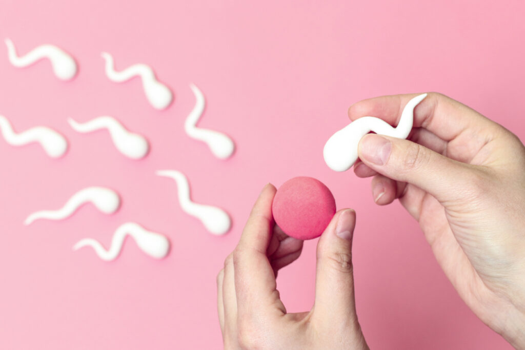 Programa Hibrido de FIV, el proceso para concebir un bebe