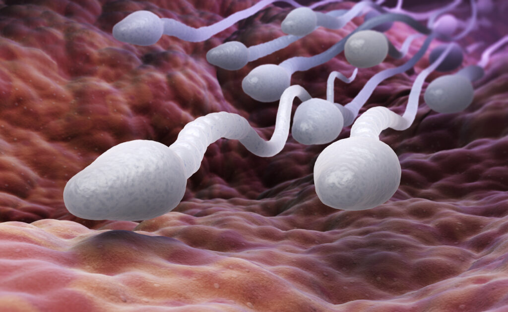 Ilustración 3D de espermatozoides
