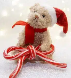 Teddy bear with Santa hat