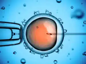 Needle being inserted into egg