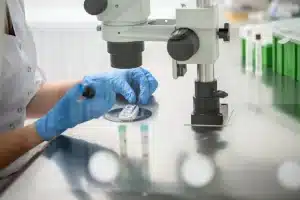 Petri dish being tested