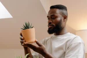 Man looking at plant in pot