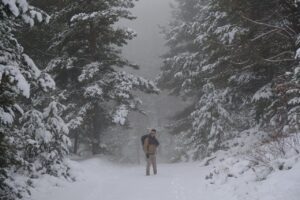 Man in snowy woods with sunglasses and backpack on
